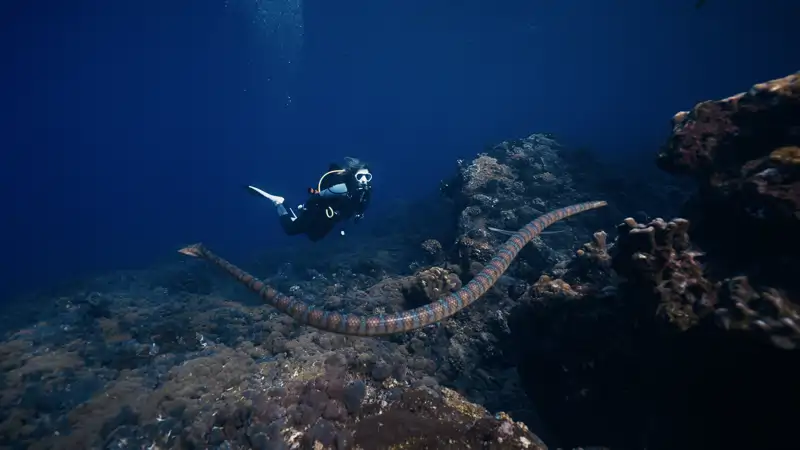 Las aguas del Mar de Banda