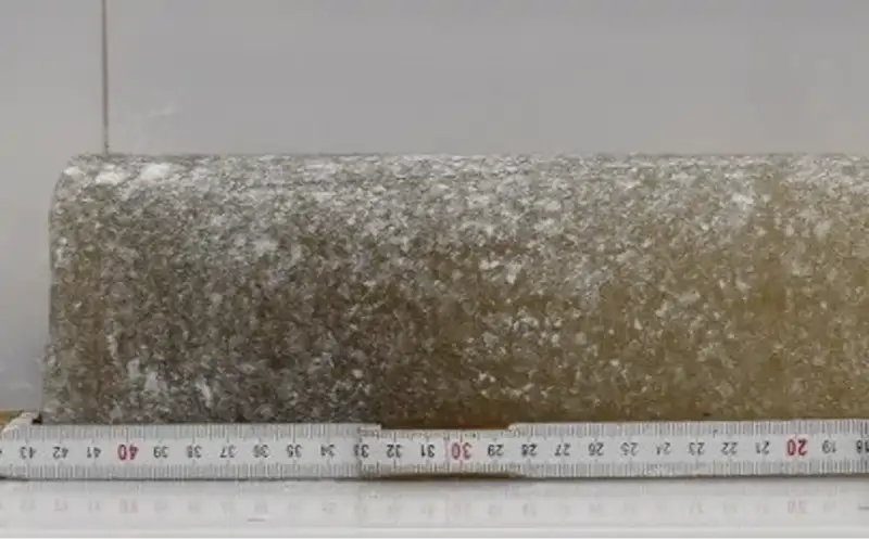 Échantillon de glace de l'Antarctique avec des bulles d'air.
