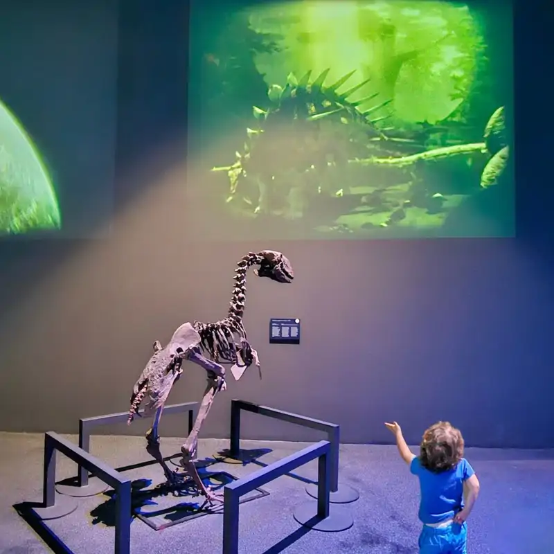 Descubriendo animales invisibles: un viaje entre ciencia, arte e imaginación.