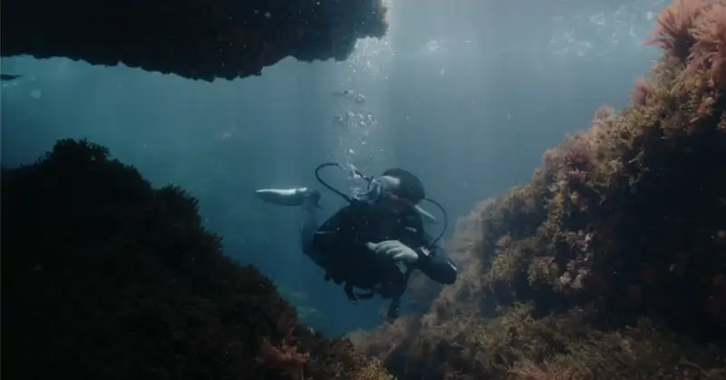 Guardianes del Mediterráneo