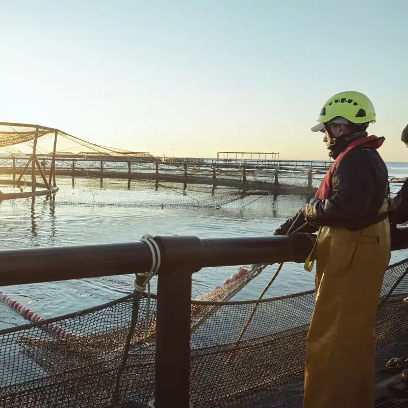 El papel de la acuicultura para garantizar una alimentación equilibrada para todos