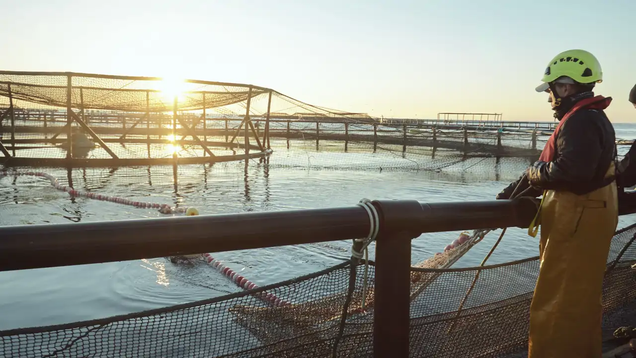 El papel de la acuicultura para garantizar una alimentación equilibrada para todos