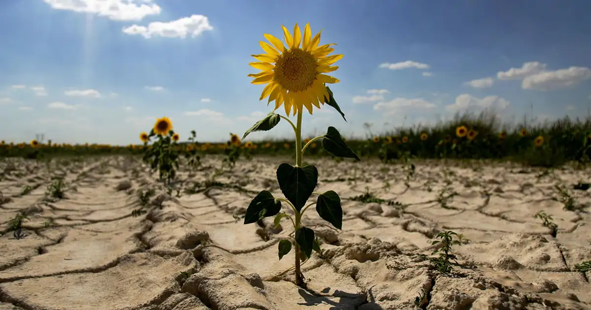 Este atlas te muestra cuáles son los lugares más desertificados de España (y las causas reales)