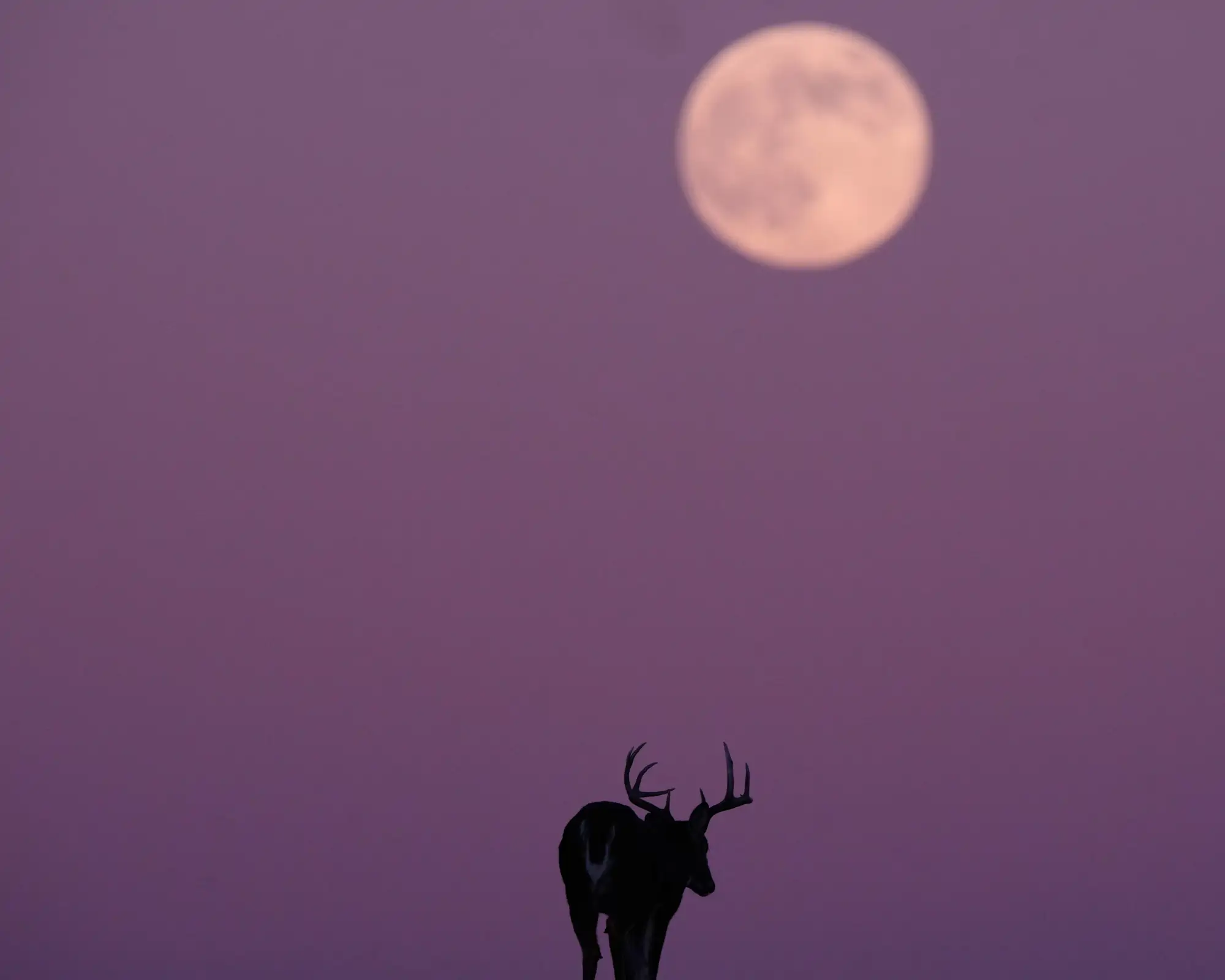 luna-llena-kansas_4caee5aa_fa338_251205131548_2000x1600.webp