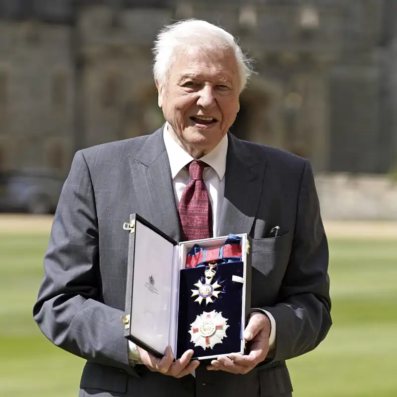 David Attenborough, divulgador: "Nuestra prosperidad depende de la prosperidad de la naturaleza"