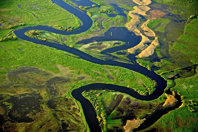 Algunas regiones de la Amazonia&amp;nbsp;ya emiten más carbono del que absorben. 