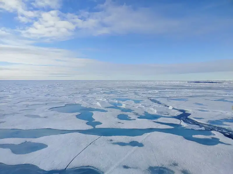 El hielo marino del Ártico se está derritiendo a un ritmo sin precedentes. 