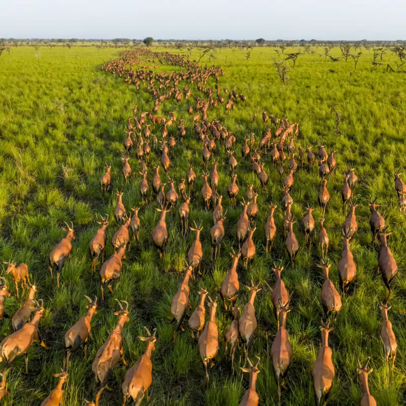Las mejores fotos de vida salvaje de 2025