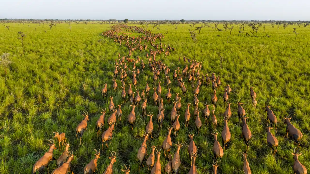 Las mejores fotos de vida salvaje de 2025