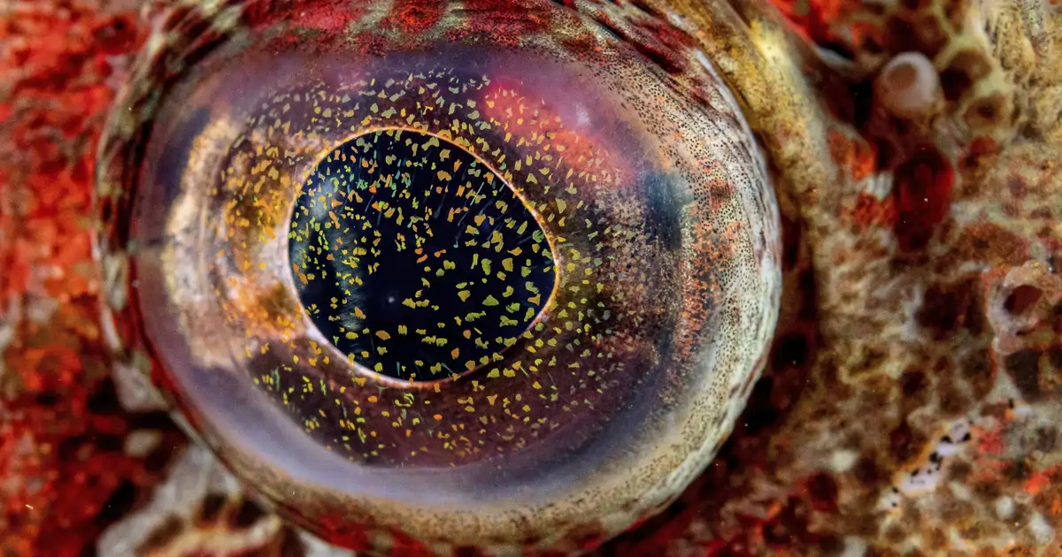 Ojo o Galaxia: National Geographic Spain