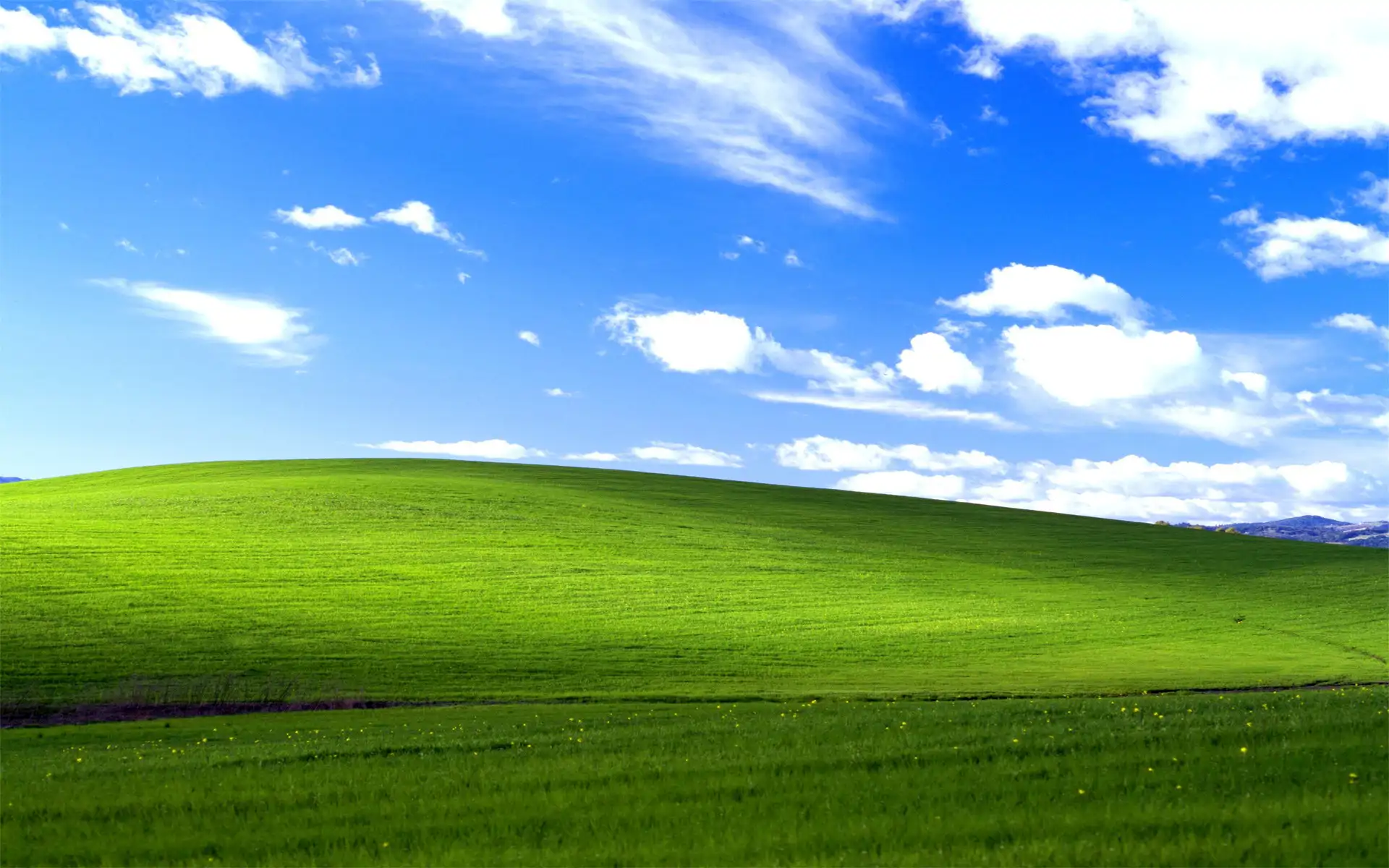 windows-xp-bliss_09b93747_260116143555_1920x1200.webp