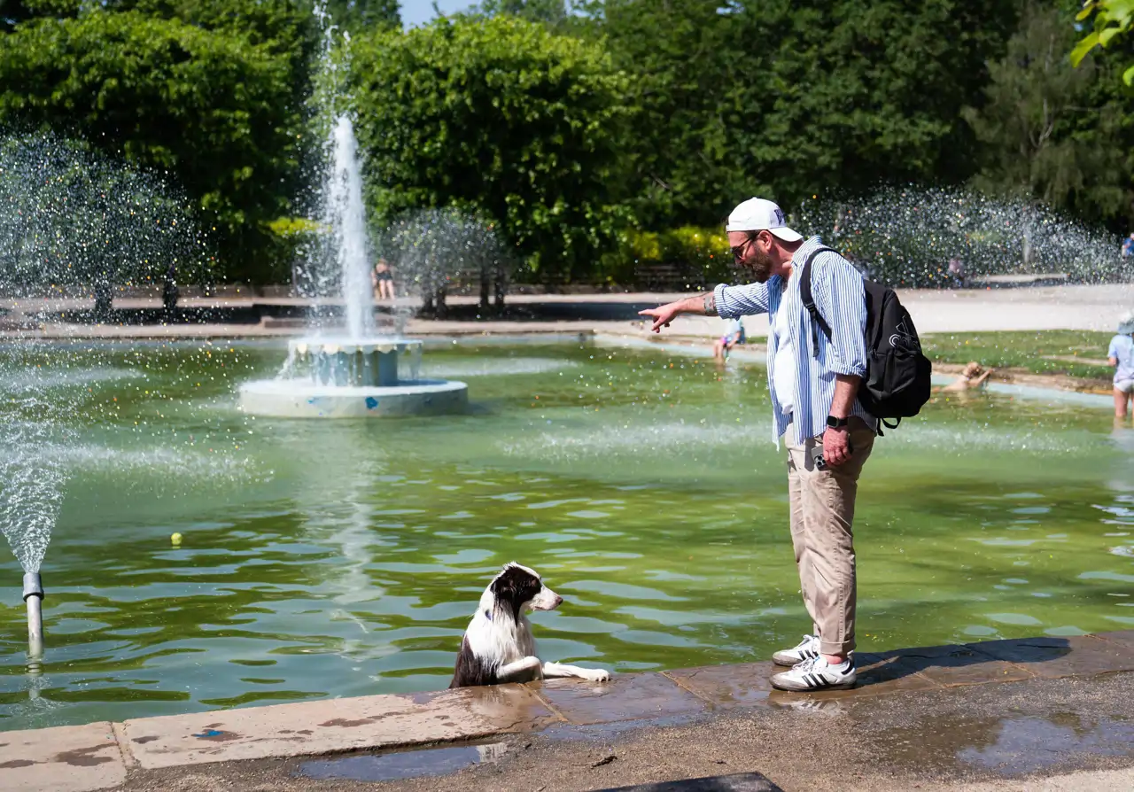 ola-de-calor-perro_5e7758e2_260526154732_1280x894.webp