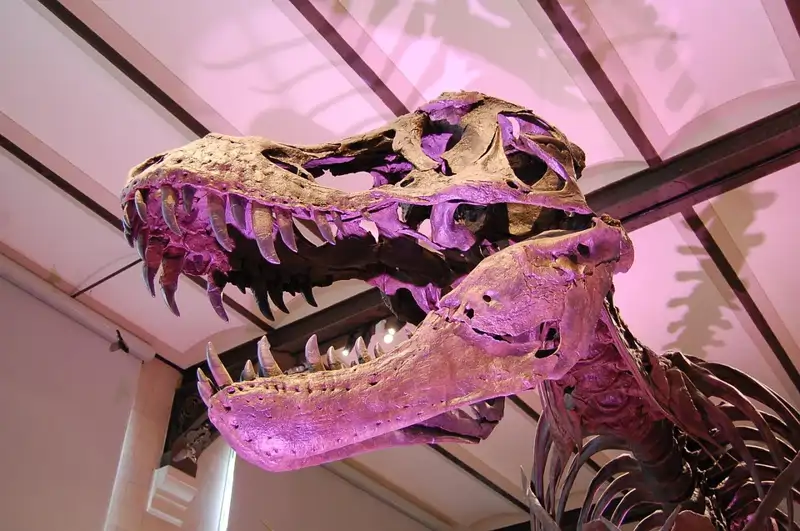 Esqueleto de Tyrannosaurus rex 