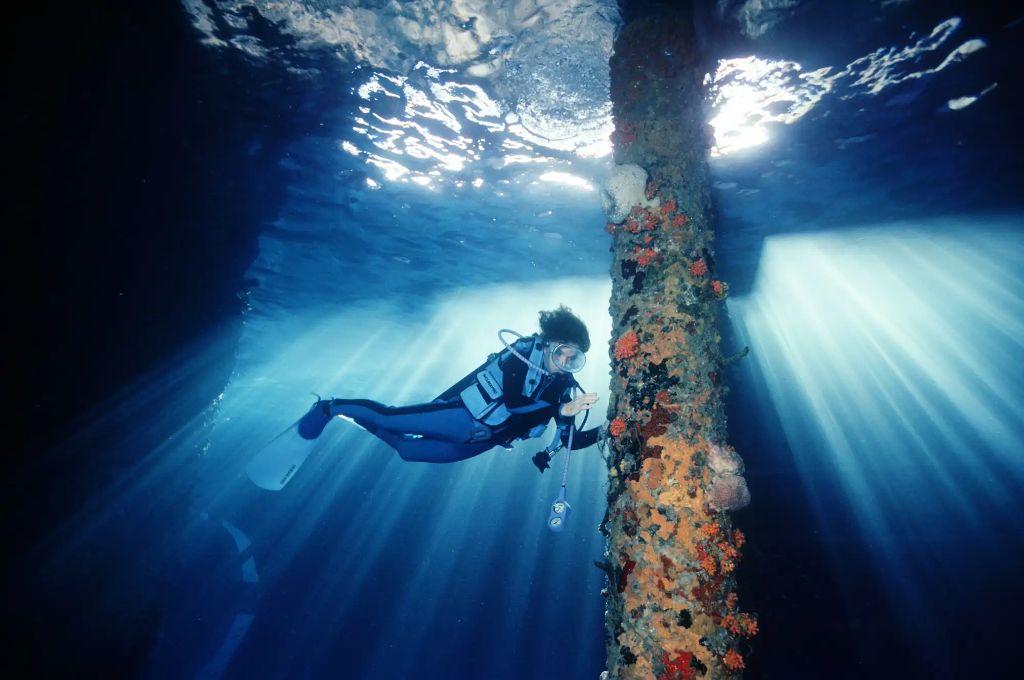 sylvia-earle_4f57bc31_260612133306_2000x1327.webp