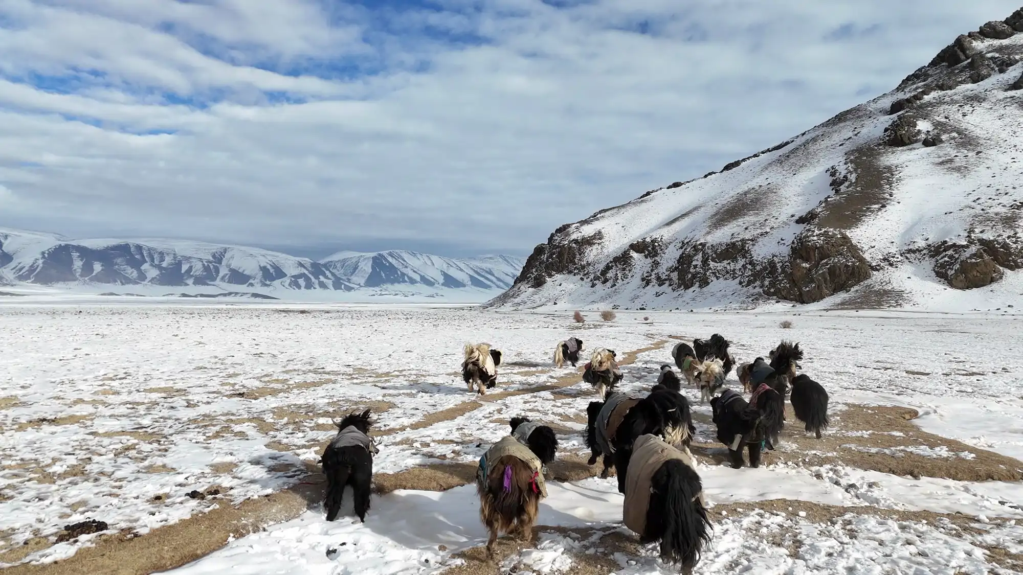 mongolia-chamanes_47864ce8_260619121713_2000x1125.webp