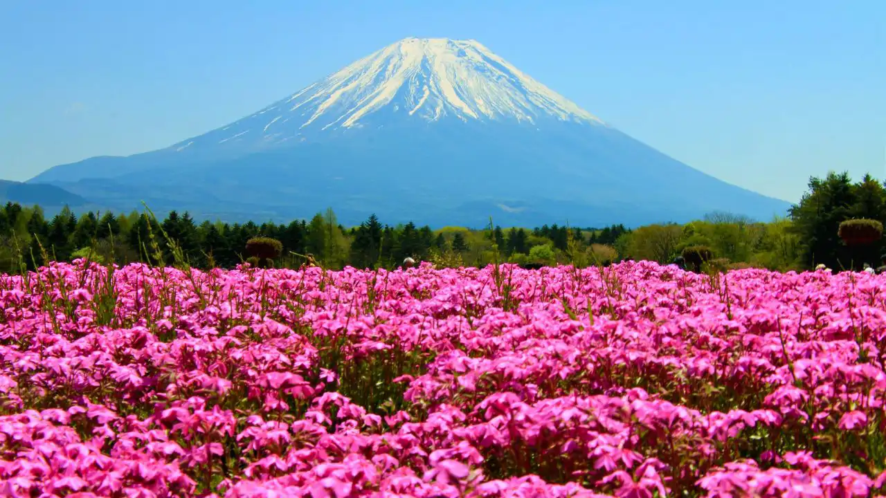 japon-esta-mas-lejos_5c87a957_260626132525_1280x720.webp