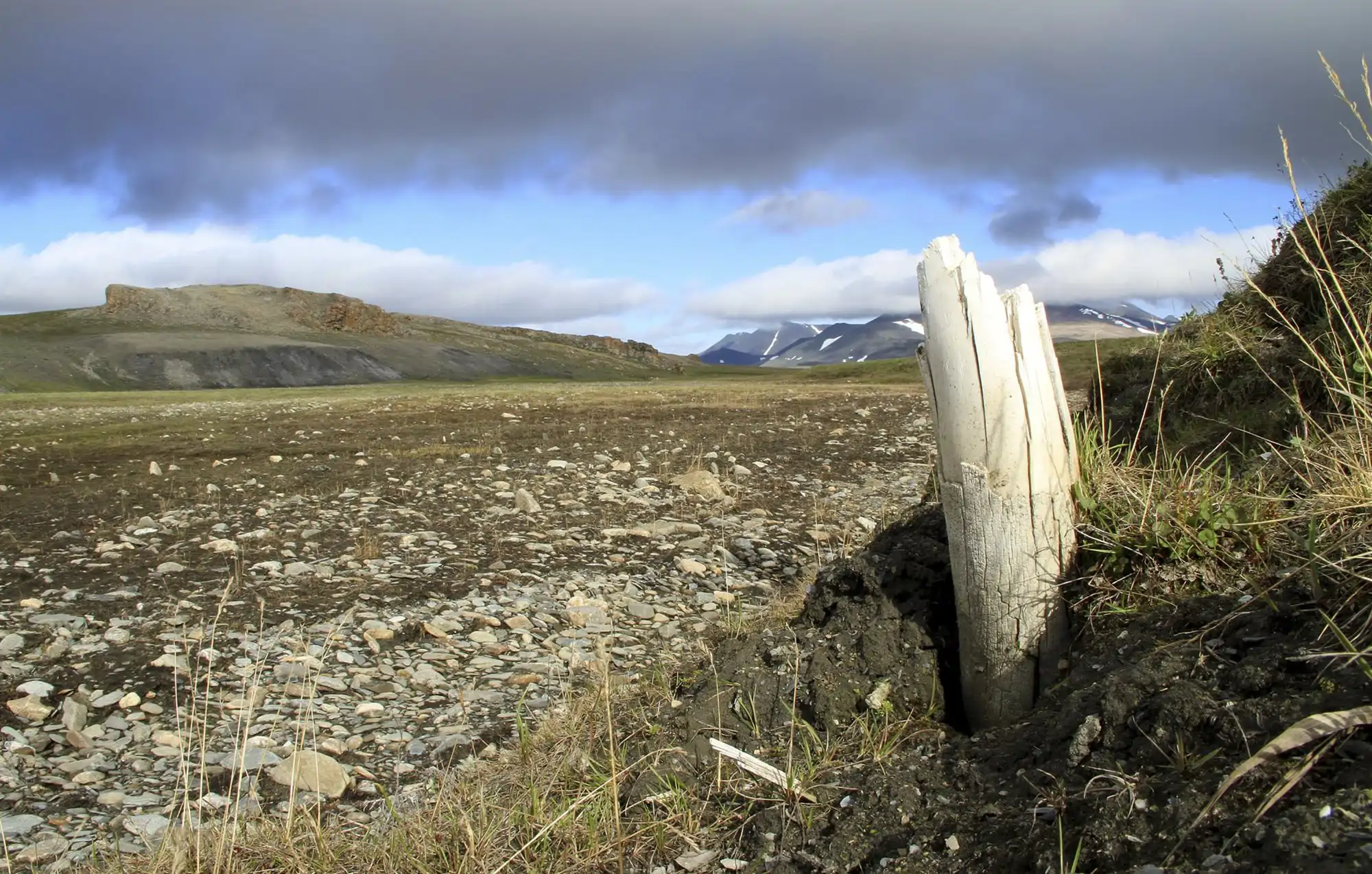 el-colmillo-del-mamut-lanudo_00000000_0990756c_260703154023_2000x1274.webp