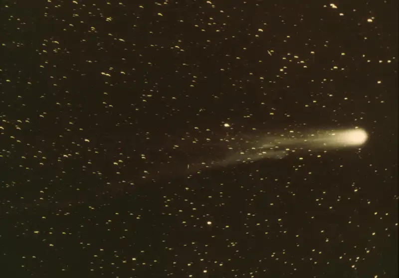 cometa halley