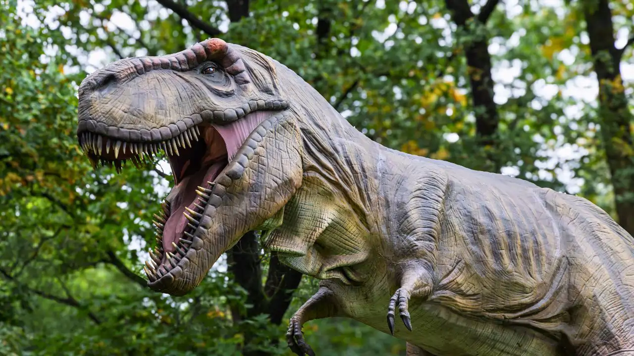 Tiranosaurio rex