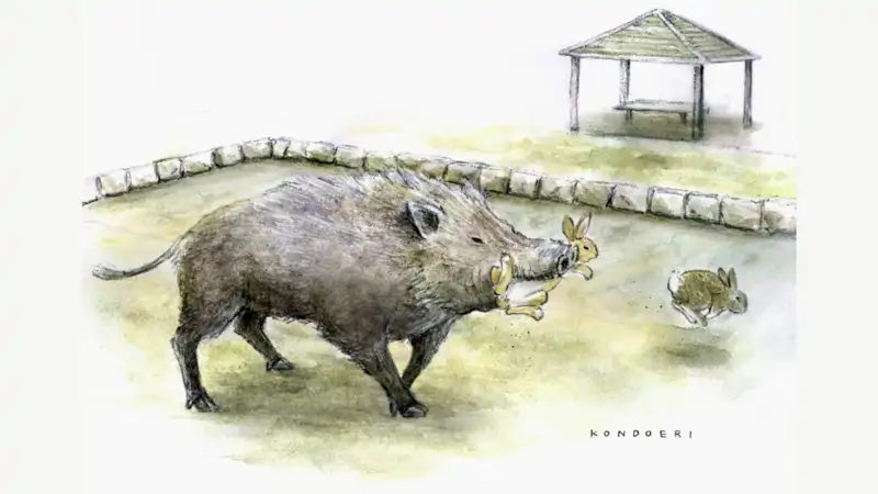 Ilustración de un jabalí cazando a un conejo