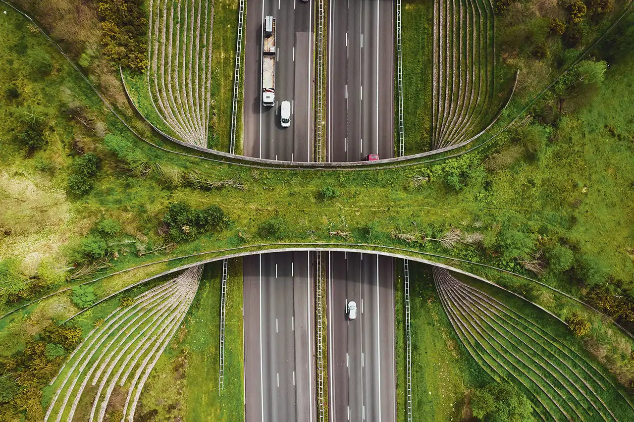 un-corredor-verde-viaducto-verde-de-borkeld_7877c99e_260818112148_1280x852.webp