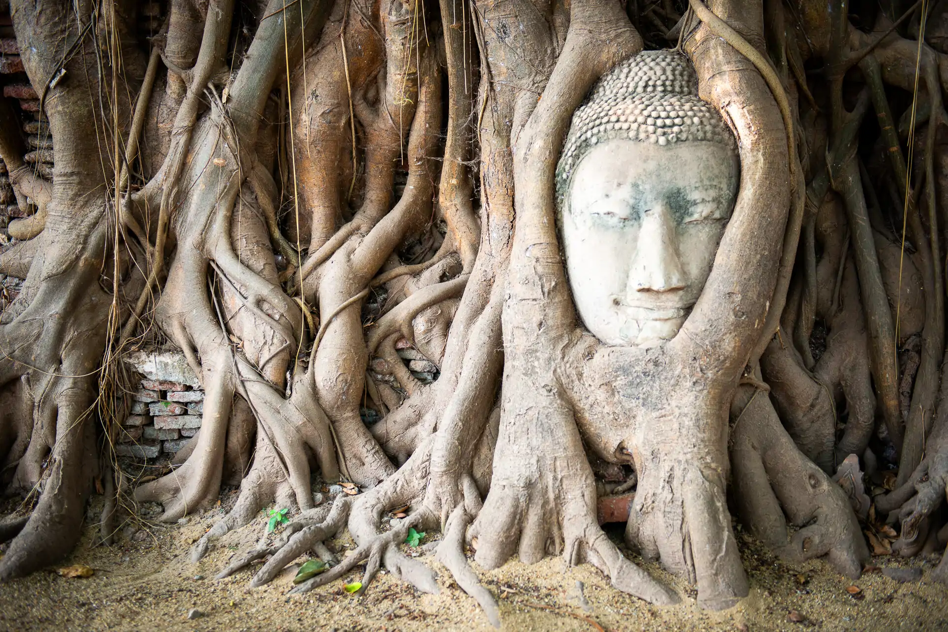 wat-maha-that-ayutthaya_4bd093e3_260819111917_1920x1281.webp
