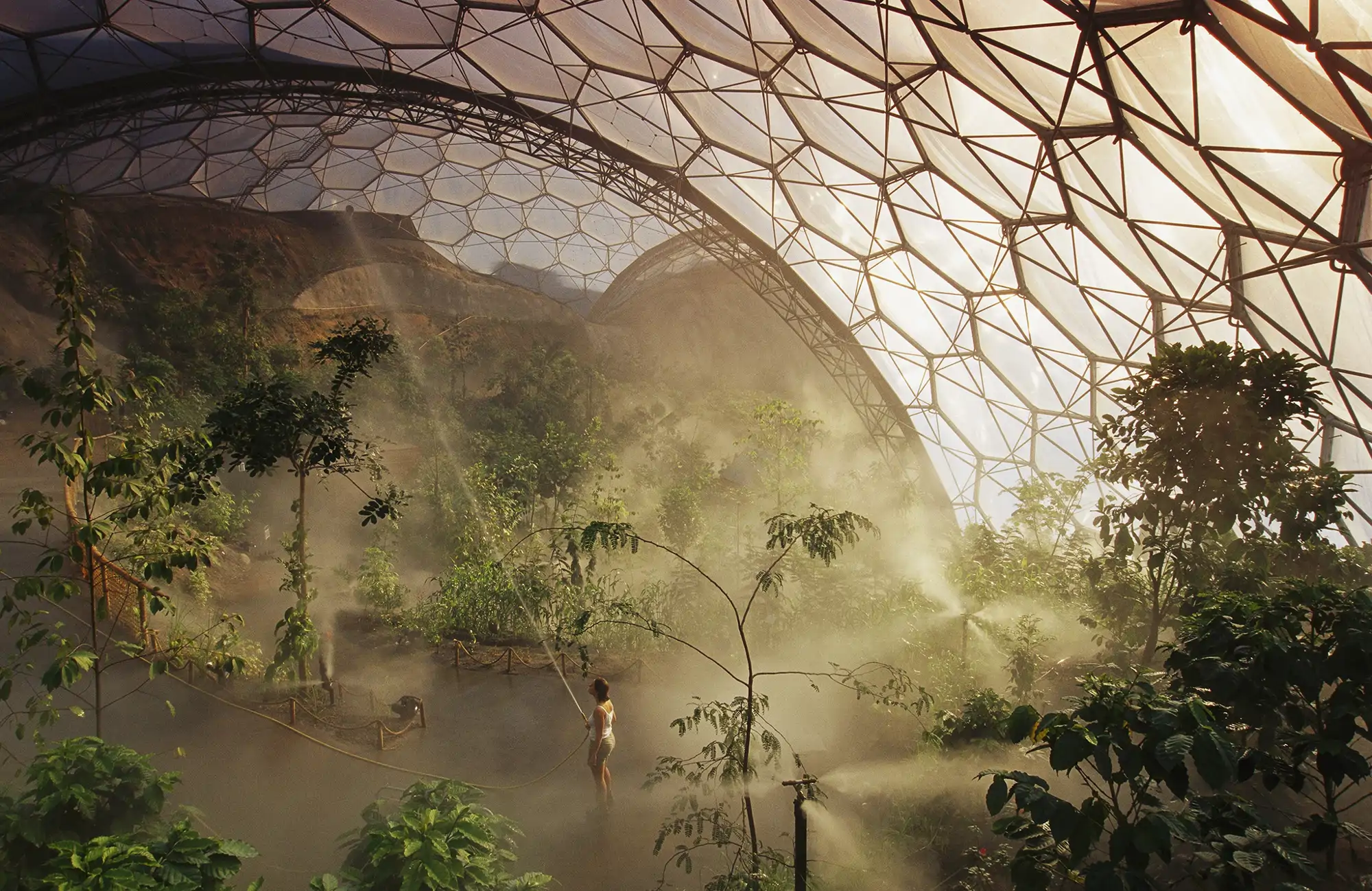 las-lluvias-matutinas-nublan-mas-de-4500-especies-diferentes-de-plantas-en-el-proyecto-eden-en-cornualles-inglaterra-el-centro-medioambiental-y-educativo-fue-construido-en-2001-y-consta-de-dos-biomas-_1d26237d_260820104011_2000x1298.webp
