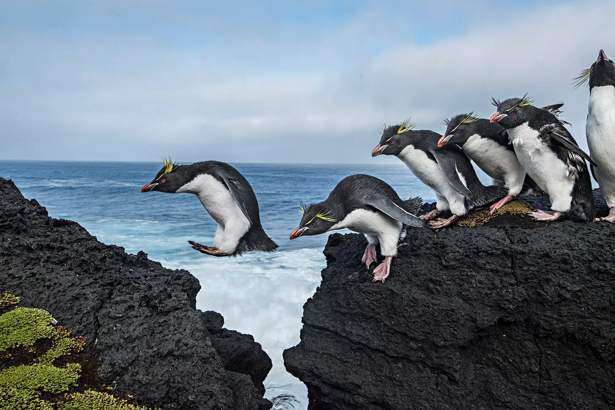 una-via-de-escape_90136b4b_2697228_260820150838_2000x1333.webp