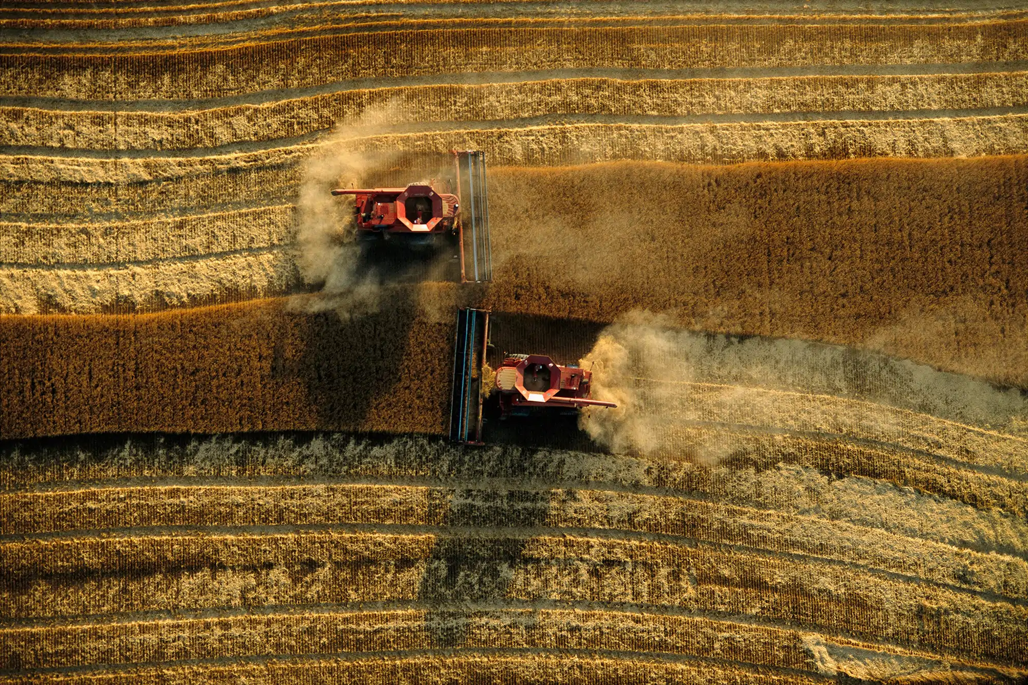 vista-aerea-de-cosechadoras-cosechando-un-campo-de-trigo-en-kansas-aunque-su-trabajo-le-ha-llevado-por-todo-el-mundo-el-fotografo-y-nativo-de-kansas-jim-richardson-tambien-ha-pasado-40-anos-capturando_f76cbc2d_260820104033_2000x1334.webp