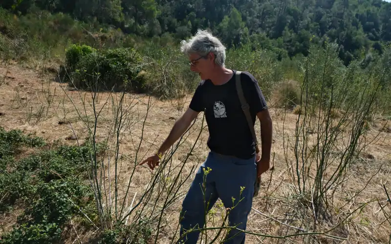 Enric Ullar vacas con GPS