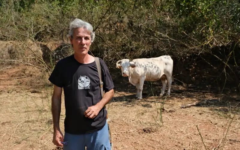 Enric Ullar vacas con GPS