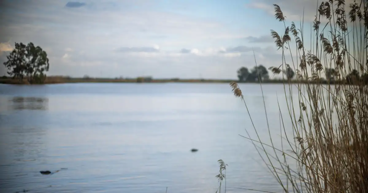 Antonia Herrero, bióloga, sobre el río Guadalquivir: "Los peces tienen niveles muy altos de cobre, manganeso y plomo