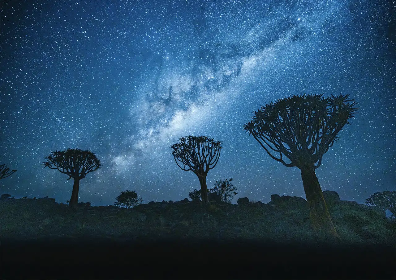 aloes-bajo-estrellas-noche_597fcb31_260922100714_1280x908.webp