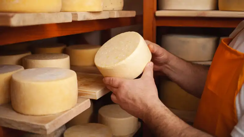 El combustible del futuro podría provenir de los residuos del queso