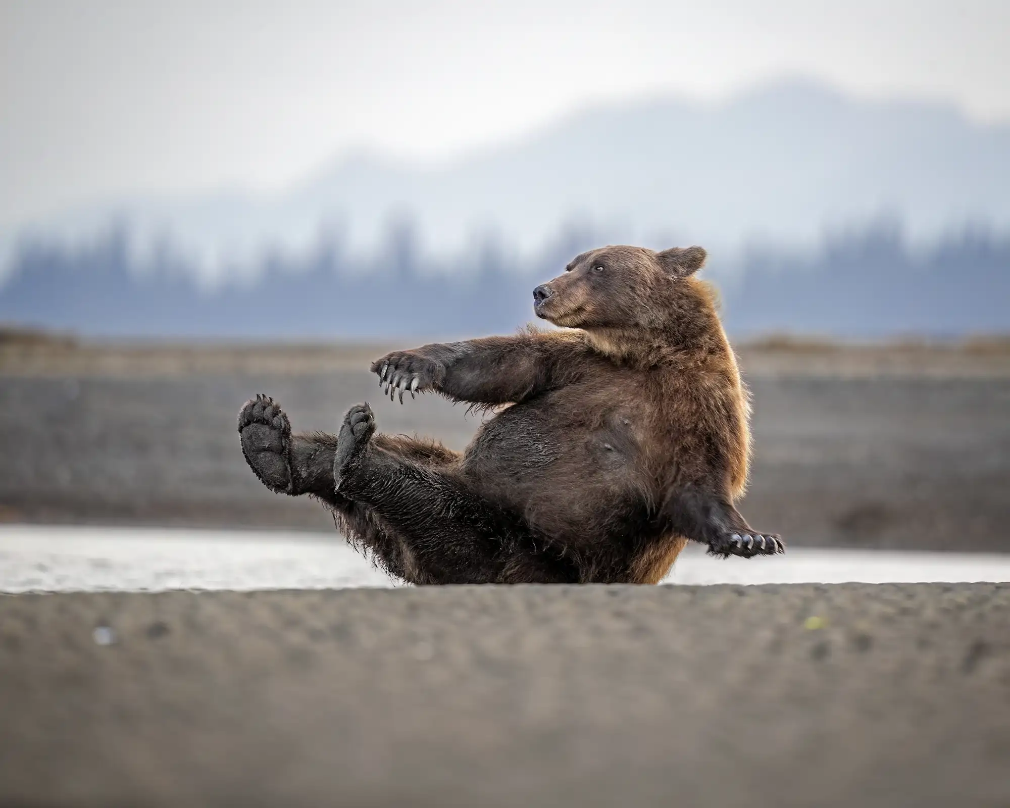 Morning calisthenics