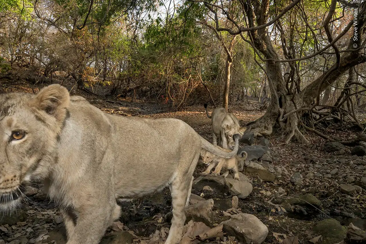 wildlife-photographer-of-the-year-2026_eba186ac_78969f8c577c_261016123521_1280x853.webp